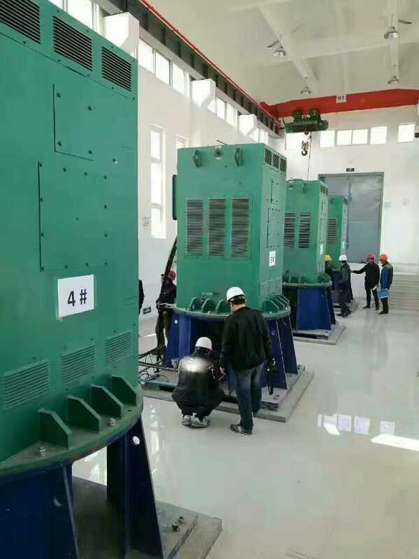 YKK7106-12某污水处理厂使用我厂的立式高压电机安装现场